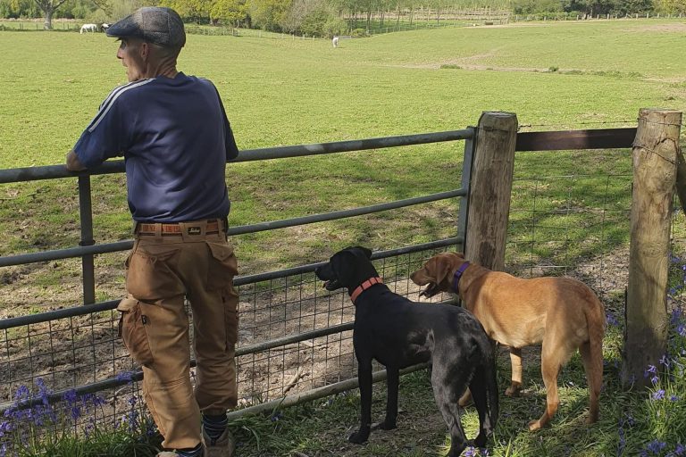 Alan in a field with our dogs Molly and Darcy